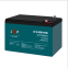 Тяговый свинцово-кислотный AGM аккумулятор LP 6-DZM-12 Ah - под Болт М5 0 Тяговый свинцово-кислотный AGM аккумулятор LP 6-DZM-12 Ah - под Болт М5 0