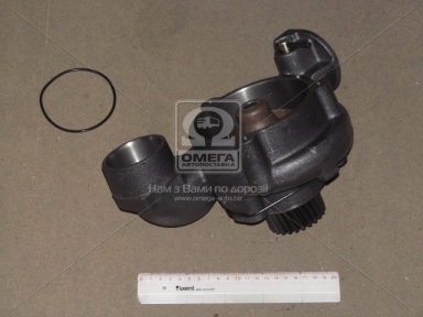 Насос водяний VOLVO FH/FM/FL12, D12A/C 24Z (вир-во BF) Насос водяний VOLVO FH/FM/FL12, D12A/C 24Z (вир-во BF)