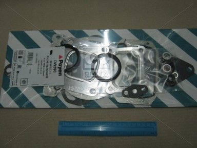 Прокладки ГБЦ R.V.I. MIDR 06.20.45/06.23.56 (1 ЦИЛ) С САЛЬНИКАМИ КЛАП (пр-во Payen) Прокладки ГБЦ R.V.I. MIDR 06.20.45/06.23.56 (1 ЦИЛ) С САЛЬНИКАМИ КЛАП (пр-во Payen)