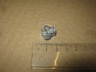 Пробка маслосливного отверстия (пр-во FEBI) Пробка маслосливного отверстия (пр-во FEBI)