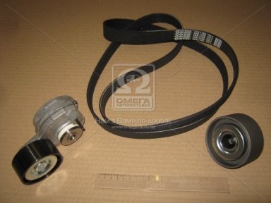 Комплект натяжителя ремня DAF CF 85, XF 105 MX265-MX375 10.05-(пр-во DAYCO) Комплект натяжителя ремня DAF CF 85, XF 105 MX265-MX375 10.05-(пр-во DAYCO)