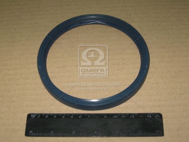 Сальник ступицы 125х143х13х11 (пр-во BPW) Сальник ступицы 125х143х13х11 (пр-во BPW)