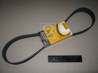 Ремень клиновой (пр-во ContiTech) Ремень клиновой (пр-во ContiTech)