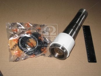 Р/к шкворня VOLVO FH12,16,FM7,9,10,12,B12 на сторону (без подш.) (пр-во CEI)