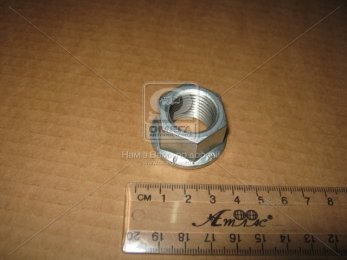 Гайка М20*2*20 SW27 колеса TRILEX, BPW, DAF, MAN, MB, SCANIA, VOLVO (пр-во Febi)