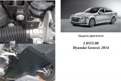 Защита двигателя КОЛЬЧУГА для Hyundai Genesis (2014-) 3,8 АКПП