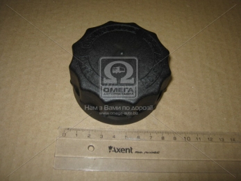 Крышка расширительного бачка DAF XF95 (TEMPEST)