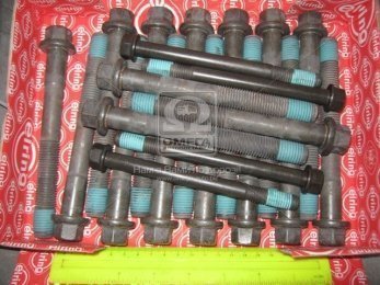 Болт головки блока DAF WS/XF M16x2.0x146 17шт. + M12x1.75x140 4 шт (пр-во Elring)