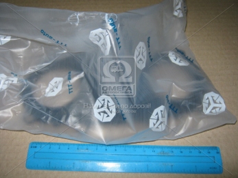 Пластина суппорта торм. BPW TSB 3709,4309,4312 (пр-во TTT-auto)