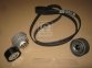 Комплект натяжителя ремня DAF CF 85, XF 105 MX265-MX375 10.05-(пр-во DAYCO)